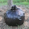 Stout 33 gal Trash Bags, 1.30 mil (33 Micron), Black W/Brown, 100 PK STOT3340B13 - alternate 7